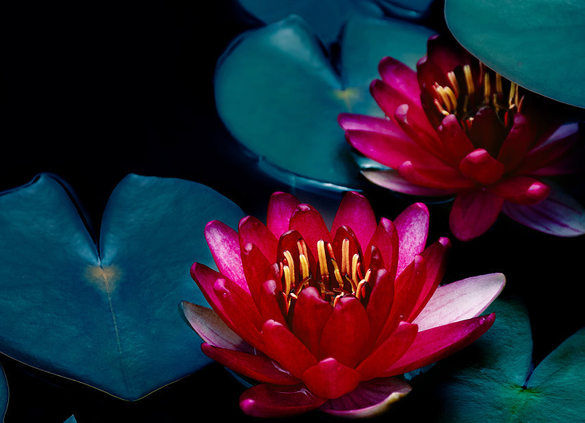 Blog Test