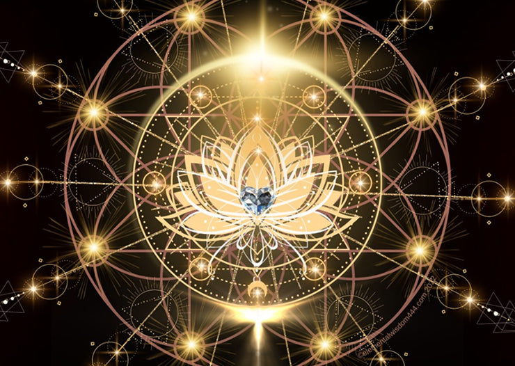 Navigating Narcissicm: A Healing Dialogue